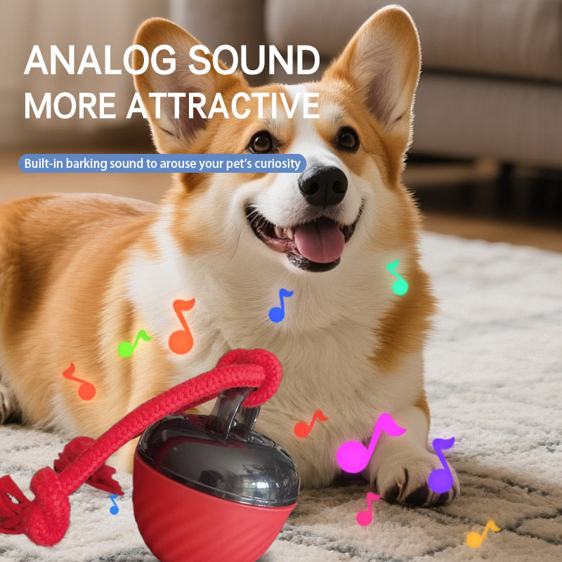 Smart Interactive Dog & Cat Toy Ball | USB Rechargeable Moving Pet Toy