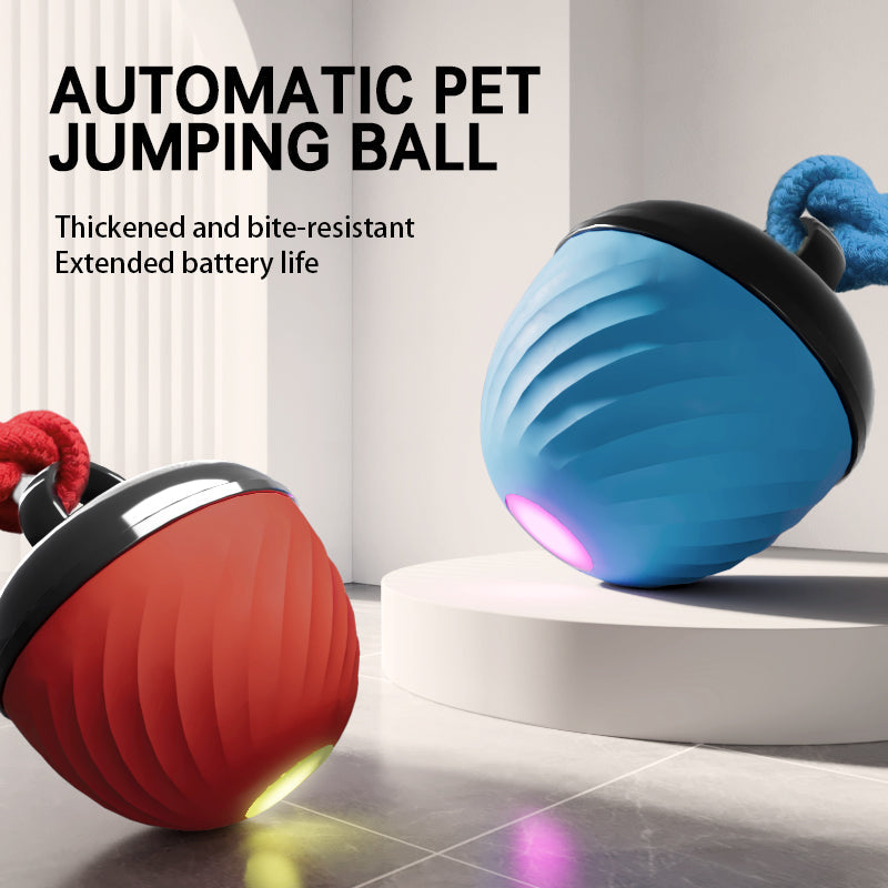 Smart Interactive Dog & Cat Toy Ball | USB Rechargeable Moving Pet Toy