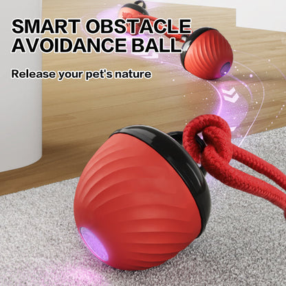 Smart Interactive Dog & Cat Toy Ball | USB Rechargeable Moving Pet Toy