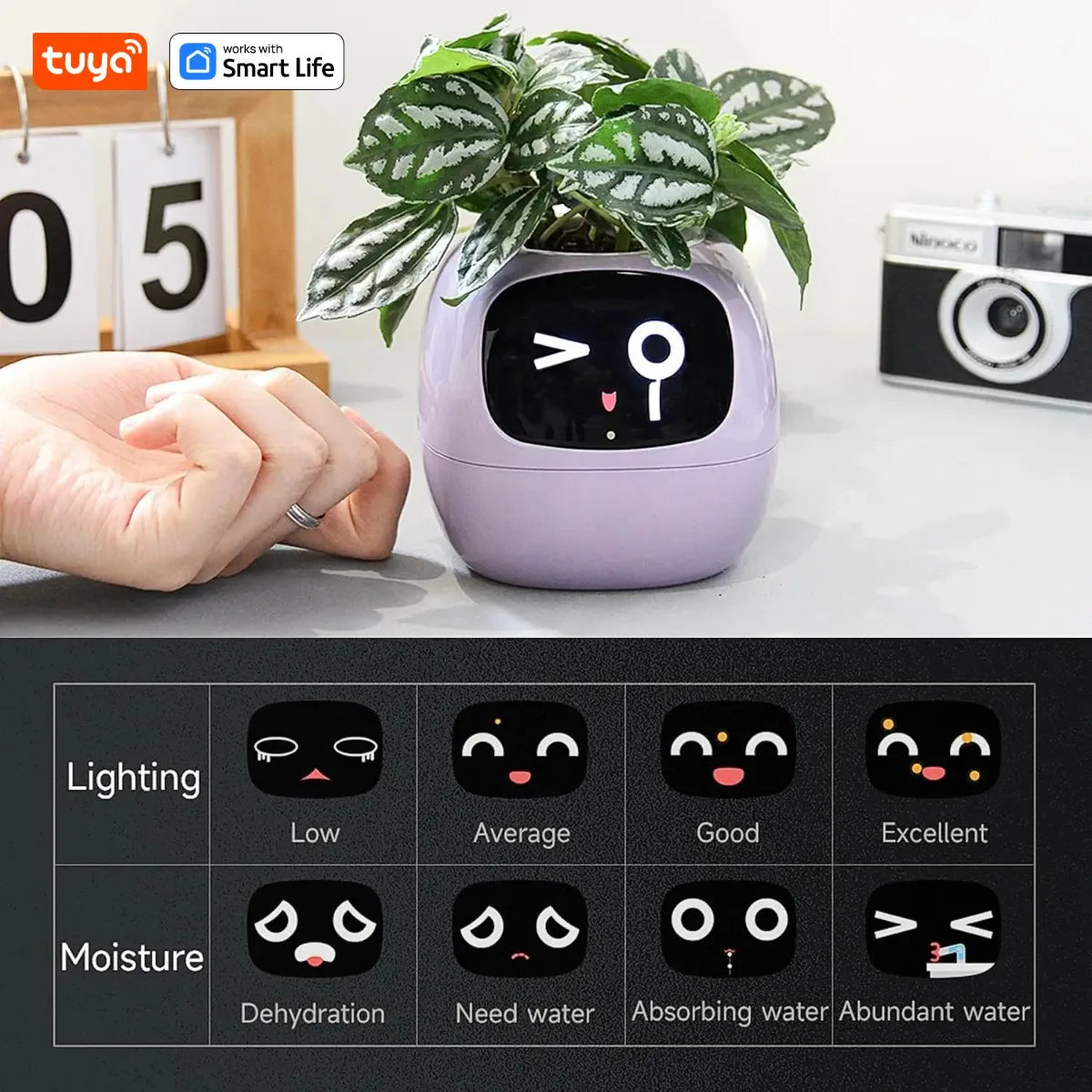 Smart Plant Pot with Automatic Watering - AI App Control & Soil Sensors for Healthy Plants