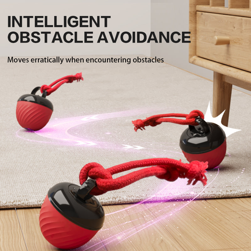 Smart Interactive Dog & Cat Toy Ball | USB Rechargeable Moving Pet Toy
