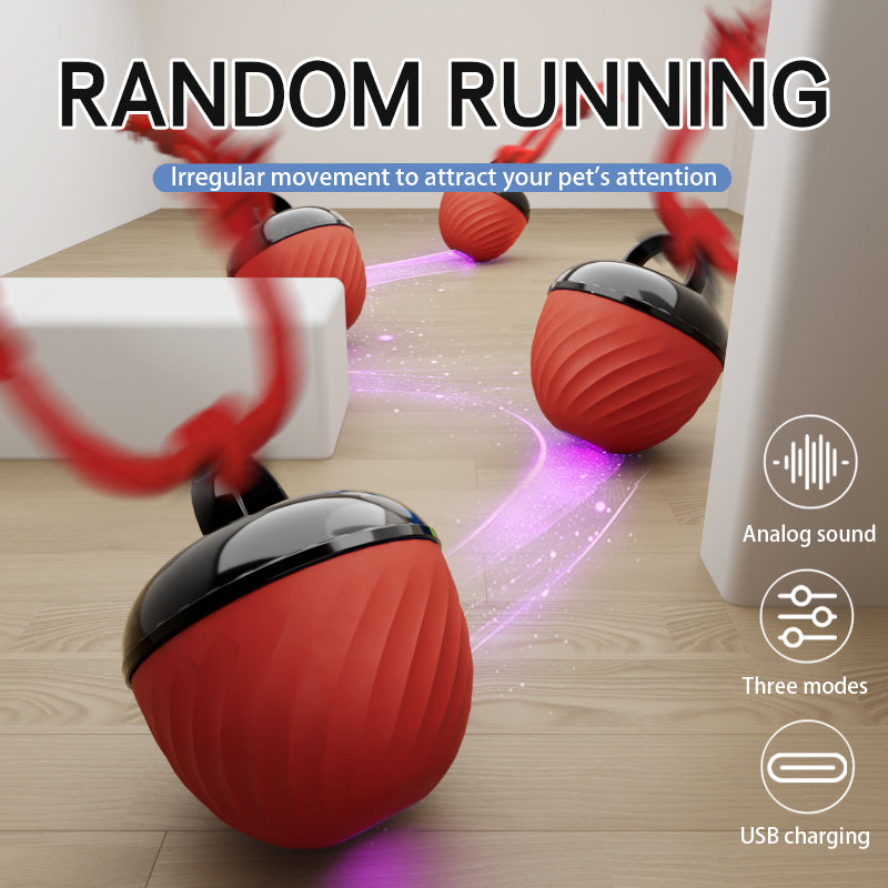 Smart Interactive Dog & Cat Toy Ball | USB Rechargeable Moving Pet Toy