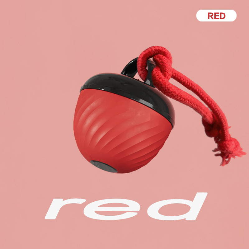 Smart Interactive Dog & Cat Toy Ball | USB Rechargeable Moving Pet Toy