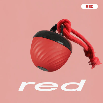 Smart Interactive Dog & Cat Toy Ball | USB Rechargeable Moving Pet Toy